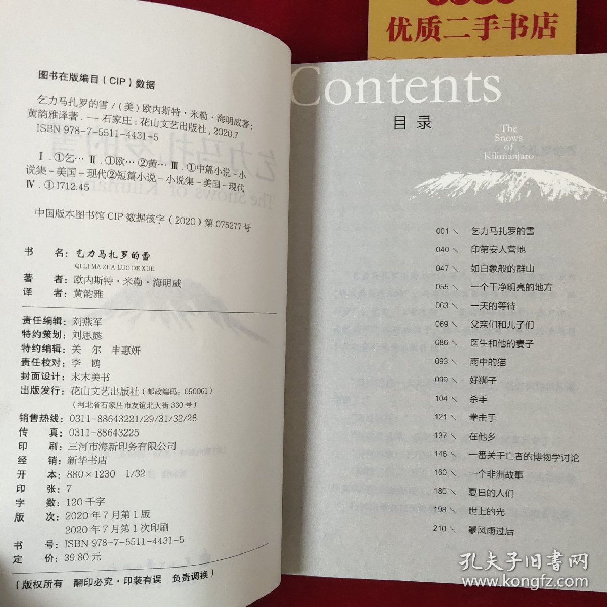 乞力马扎罗的雪