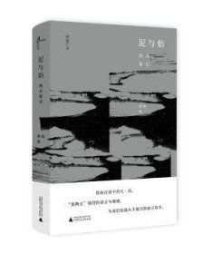 泥与焰:南方笔记黑陶著9787549599752广西师范大学出版社