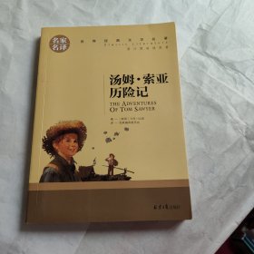 汤姆索亚历险记 名家名译世界经典文学名著 原汁原味读原著