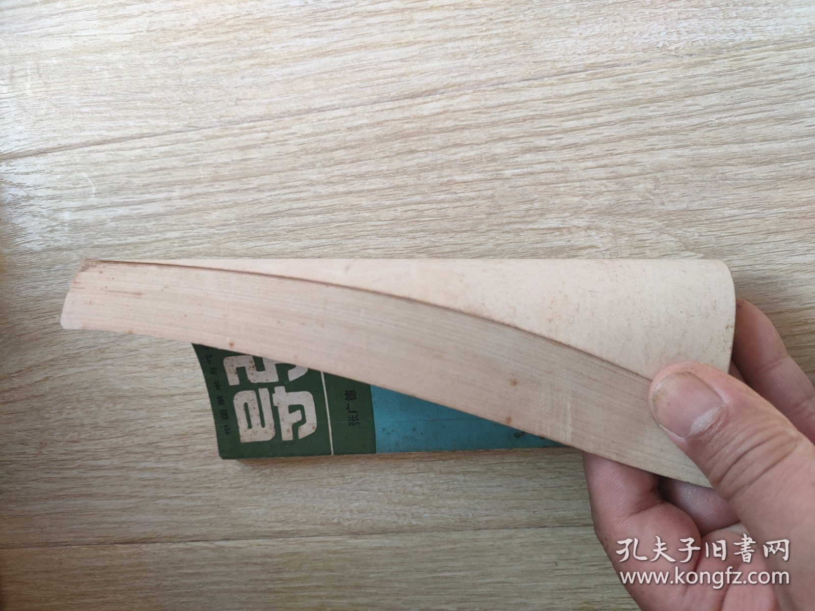 导引养生功