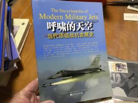 呼啸的天空 当代顶级战机发展史  内1 4层