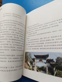 陈茶