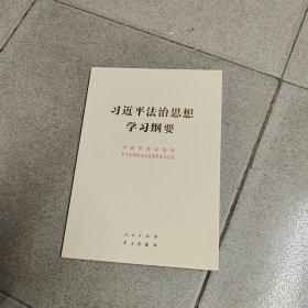 习近平法治思想学习纲要（16开）