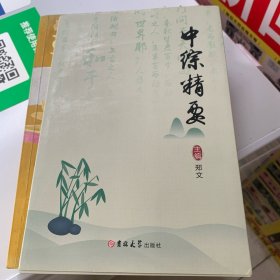 中综精要