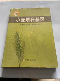 小麥矮稈基因
