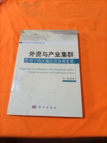 黄河文明与可持续发展文库：外资与产业集群作用下区域经济协调发展