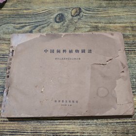 中国饲料植物图谱