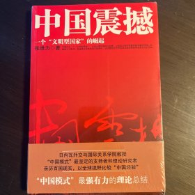 中国震撼：一个“文明型国家”的崛起