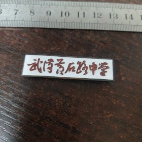 武汉黄石路中学校徽/铜质珐琅彩（编号“1”）