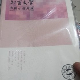 北京文学中篇小说月报2021年第五期