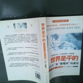 世界是平的：《世界是平的：21世纪简史》姊妹篇