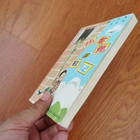 捣蛋鬼的日记（长篇小说）