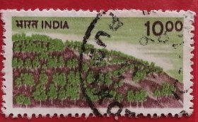 印度邮票 1984年 普通邮票 植树造林 1全信销