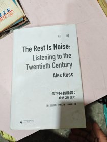 余下只有噪音：聆听20世纪