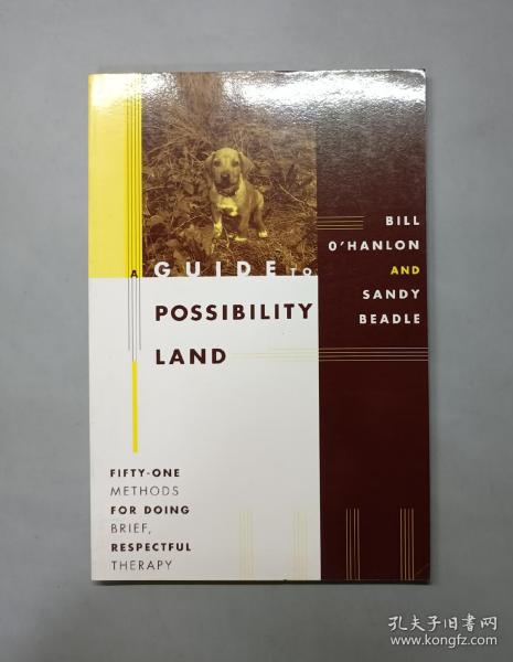 A Guide to Possibility Land: 51 Methods for Doing Brief, Respectful Therapy