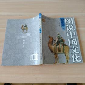 艺术卷-图说中国文化