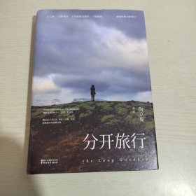 分开旅行（精装版）