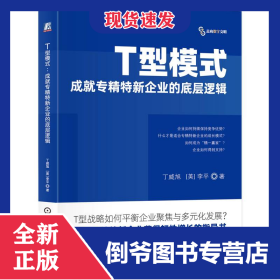 T型模式 9787111764908