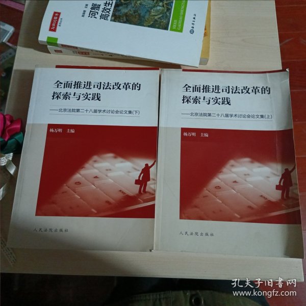 全面推进司法改革的探索与实践：北京法院第二十八届学术讨论会论文集（套装上下册）