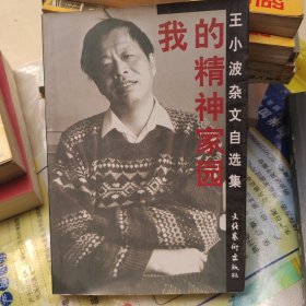 我的精神家园：王小波杂文自选集