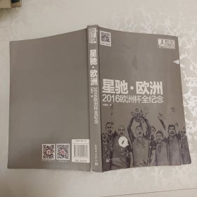 群星闪耀时：这个时代的足坛传奇·星驰·欧洲——2016欧洲杯全纪念