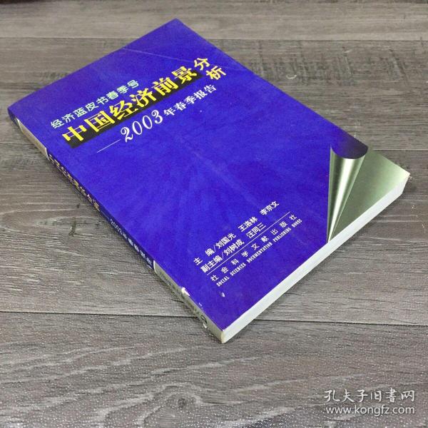 中国经济前景分析：2003年春季报告