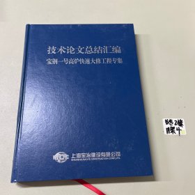 技术论文总结汇编 宝钢一号高炉快速大修工程专集