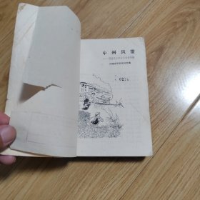 中州风雷（河南民兵革命斗争故事）