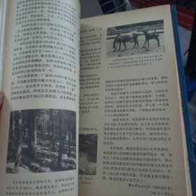 摄影世界1982年1-6期精装合订本——gg3