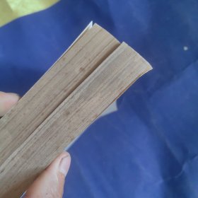 中文专业基础课图表（上下两册）