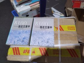 名士自白:我在文革中上下