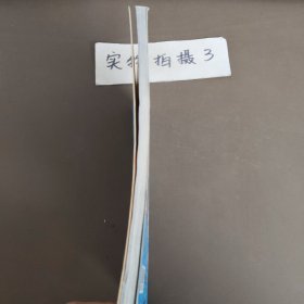 喜羊羊与灰太狼真人大电影我爱灰太狼2电影小说