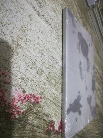 韩国专辑 NMIXX BEYOND THE SIGHT 【外塑封破损】