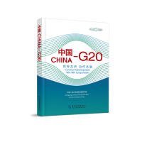 中国-G20