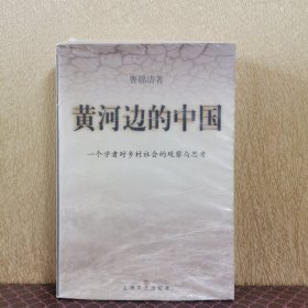 黄河边的中国:一个学者对乡村社会的观察与思考