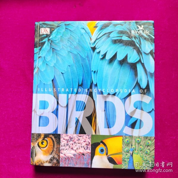 The Illustrated Encyclopedia of Birds （16开精装 英文原版插图版鸟类百科全书）