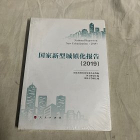 国家新型城镇化报告（2019）