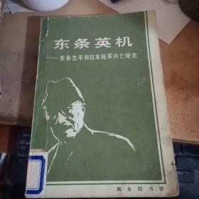 东条英机： 东条生平和日本陆军兴亡秘史