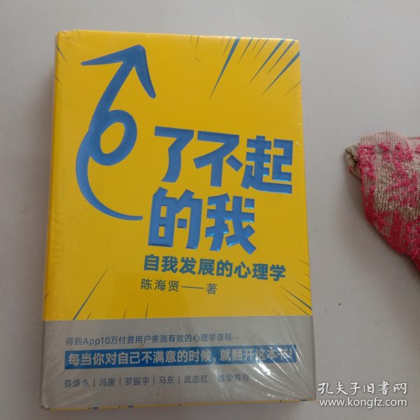 了不起的我：自我发展的心理学