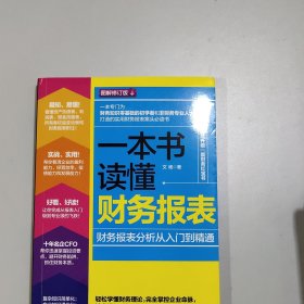 一本书读懂财务报表：财务报表分析从入门到精通