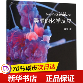 美丽的化学反应