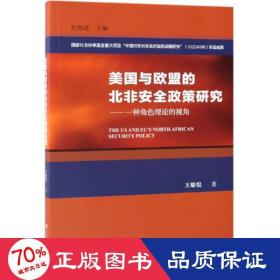 美国与欧盟的北非安全政策研究 政治理论 王聪悦 新华正版