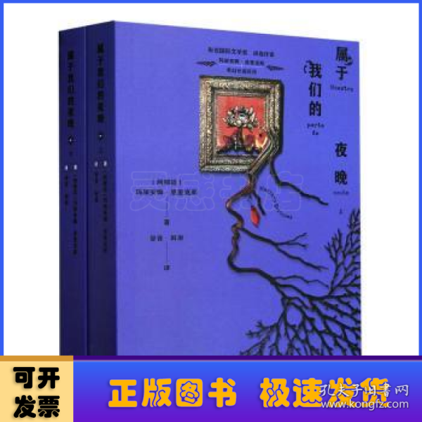 属于我们的夜晚(玛丽安娜.恩里克斯作品)