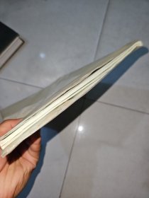 梅花磁针灸全息诊疗法资料汇编