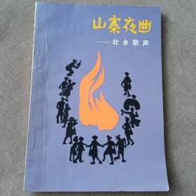 壮乡歌声山寨夜曲