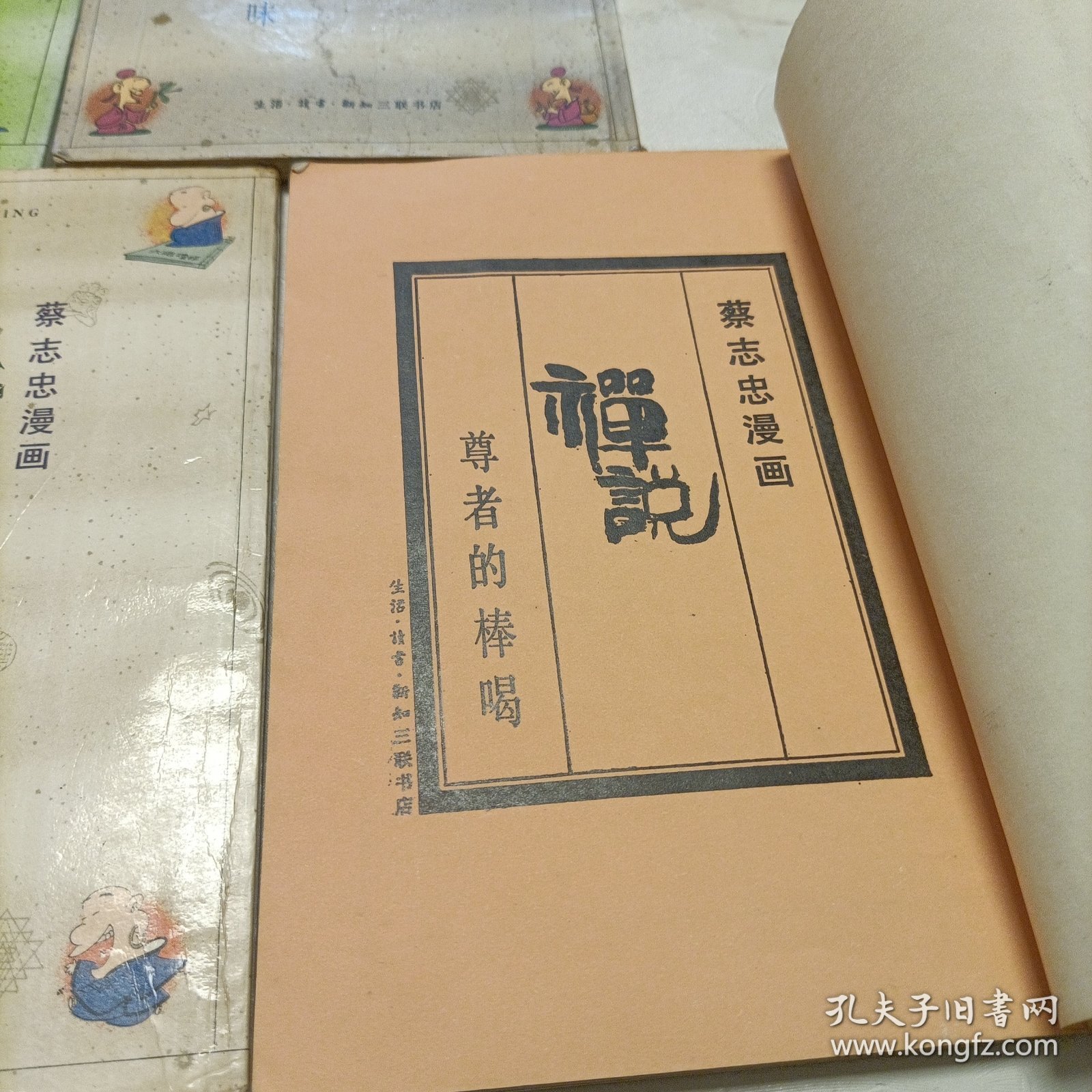 蔡志忠漫画——共五册