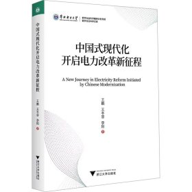 中国式现代化开启电力改革新征程