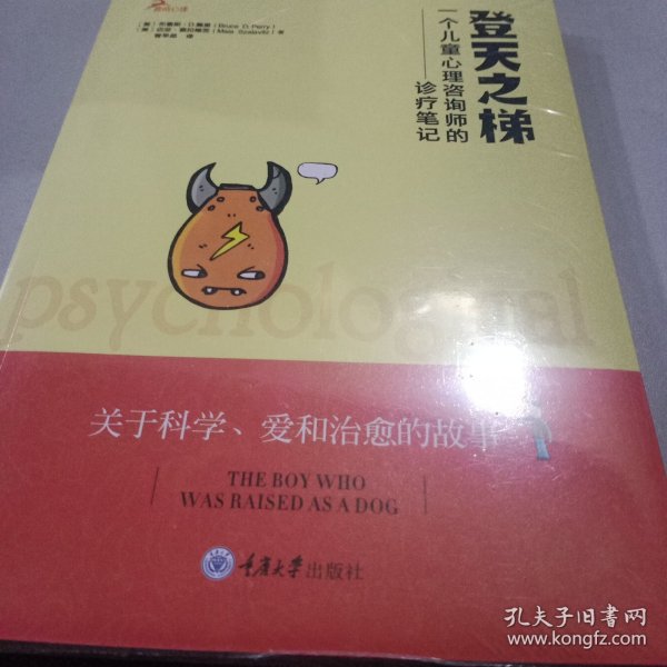 登天之梯：一个儿童心理咨询师的诊疗笔记