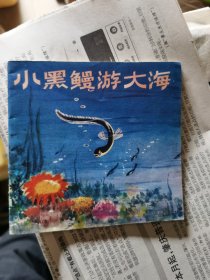 小黑鳗游大海