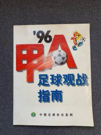 96甲A足球观战指南